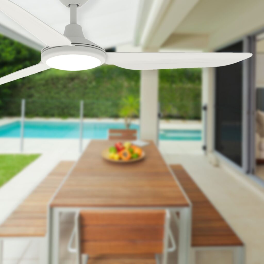 Rovert's Spring Savings are Here -