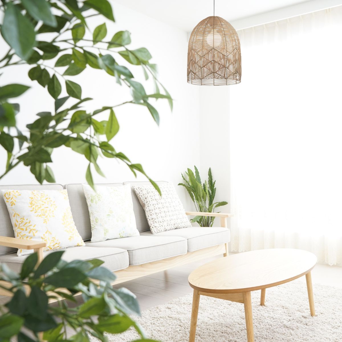 Rovert's Spring Savings are Here -